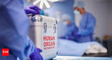 Kidney transplant turns dangerous after parasite found in donor organ