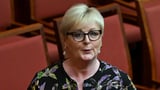 Senator paid $90,000 over Lehrmann trial allegations