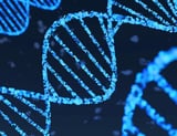 Engineered cells boost production of gene editing delivery vehicles