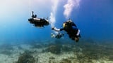 Autonomous underwater robot discovers hidden coral reef “hotspots” | Newswise