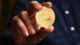 Silk Road founder Ross Ulbricht, pardoned by Trump, loses $12 million on Pump.fun