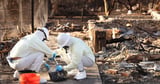 L.A. fires led to more than 400 additional deaths, study finds
