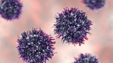 Harvard doctor lists 6 cancer causing foods: What are their alternatives