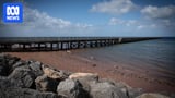 Travel and dining vouchers on offer in SA's algal bloom summer plan