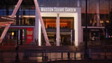 Video Tragedy at New York's Madison Square Garden