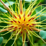 Mapping the Dynamic Plant Interactome: New Quantitative In Vivo Approaches