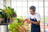 People who talk to Plants