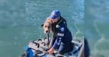 Dog rescued from remote island after being swept out to sea