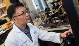 Experimental painkiller could outsmart opioids – without the high