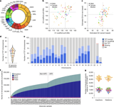 Complex genetic variation in nearly complete human genomes