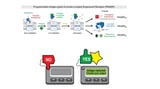 New synthetic receptor expands cellular control options, including immune response and neurological signaling