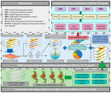 Multi-Scenario Simulation of Land Use and Assessment of Carbon Stocks in Terrestrial Ecosystems Based on SD-PLUS-InVEST Coupled Modeling in Nanjing City