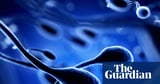 Toxins plus climate harms likely cause of reduced fertility, study finds