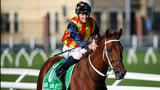 Aussie mare fancied to emulate Nature Strip at Ascot