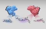 A 'chemical ChatGPT' for new medications: Researchers train AI to predict potential active ingredients