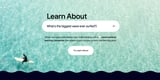 I tried Google's latest AI experiment, an interactive tool designed to make learning a new topic more engaging