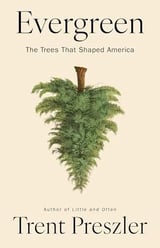EVERGREEN | Kirkus Reviews