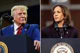 Trump admin admits terminating grants only in states that voted for Kamala Harris