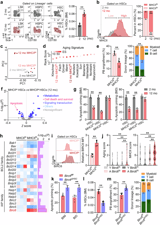 Targeting BIRC6 rejuvenates hematopoietic stem cell aging and immunosenescence
