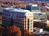 NIH grant cuts throw science into a ‘downward spiral,’ researchers and advocates say