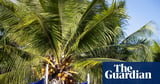 Nauru officially changes its name to Naoero