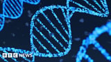 AI model from Google DeepMind reads recipe for life in our DNA