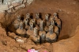 Preserved Fruit From the 18th Century Found at George Washington's Estate