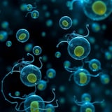 Fat Cells Crucial in Learning to Avoid Danger, Study Finds