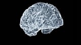 AI-Aided Brain-Computer Interface Improves Speed and Task Accuracy