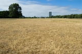 Half of England plunges into ‘flash drought’ after low rain and hot weather
