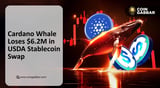 Cardano USDA Swap Mistake Leads to Massive $6.2M Loss