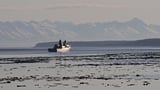 Military searches for a Marine missing off California coast