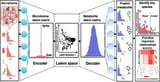 AI Unlocks Hidden Connections Between Gut Bacteria and Human Health