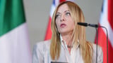 Italian PM Meloni says German 'firewall' against AfD isn't working