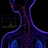 Advancing Toward Enhanced Therapy Responses in ER+ Breast Cancer Patients