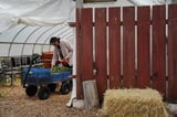Tribes hope Farm Bill can feed more people and preserve Indigenous culture