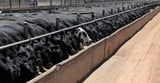 Australia, EU signal progress in trade negotiations