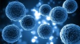 A Better Extracellular Matrix Makes Aged Cells Act Youthful