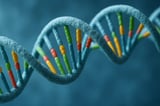 Scientists Solved a Key Mystery Regarding the Evolution of Life on Earth