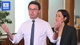 Nationals face leadership contest after David Littleproud steps down
