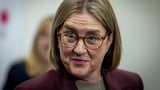 Premier blames inflation not corruption for Big Build cost blowout