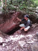 Over 130 Species: Harvard Scientists Uncover Exceptional Ancient Fossil Trove in Massachusetts