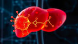 A single ubiquitin enzyme emerges as a master switch between liver repair
