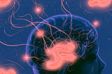 Vagus Nerve Gut Signals Drive Spatial Memory