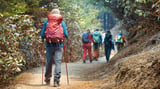 Weekend-Oriented Physical Activity Superior for Brain Health