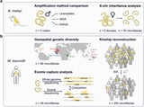 New genomic surveillance tools could help efforts to eliminate damaging parasitic infections