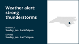 UPDATE: Weather alert for Duplin County Sunday evening, gusts to hit 40 mph