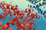 New Platform Turns Protein Loss Into a Signal for Drug Discovery