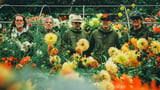Super Furry Animals Announce 2026 Tour Dates