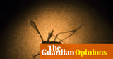 Google wants to release 32 million sterile mosquitoes. Our Australian tests offer a valuable lesson
